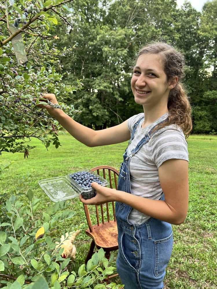 16 year old girl picking blueberries