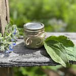 jar of homemade crock pot plantain salve
