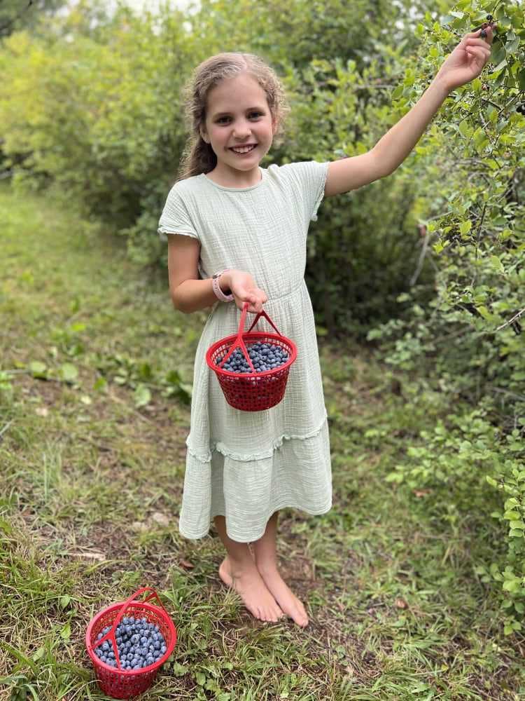 9 year old picking blueberries