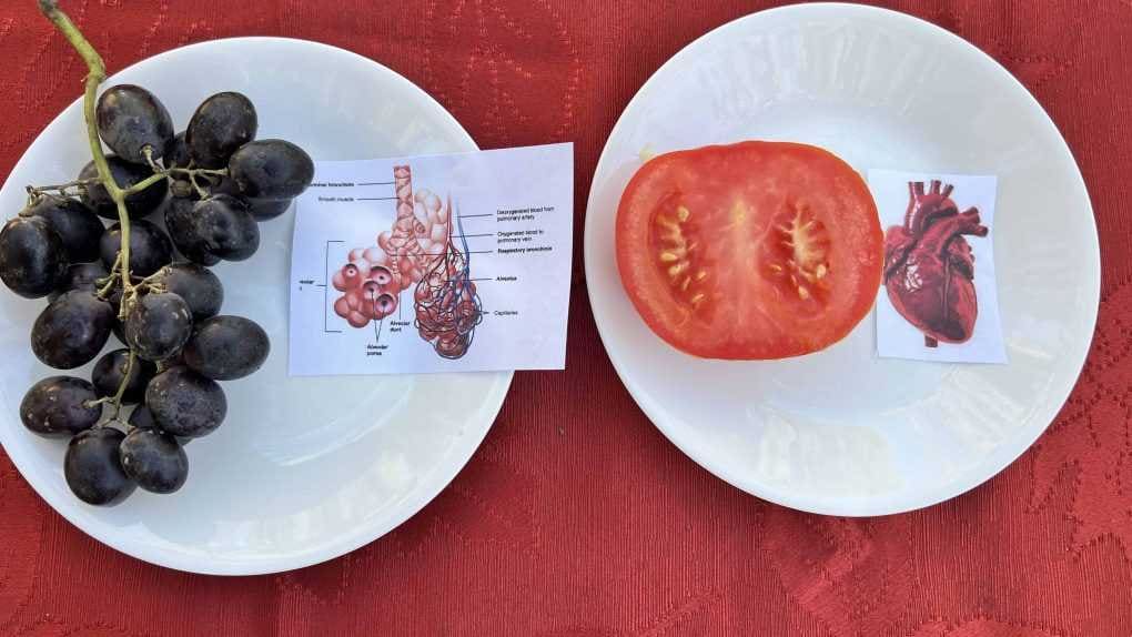 Doctrine of signatures