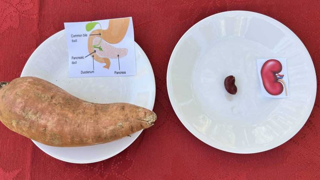 doctrine of signatures foods