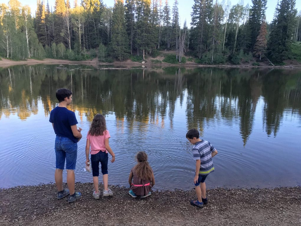 four kids with their backs to the camera looking at Doglake and the refelection of pine trees