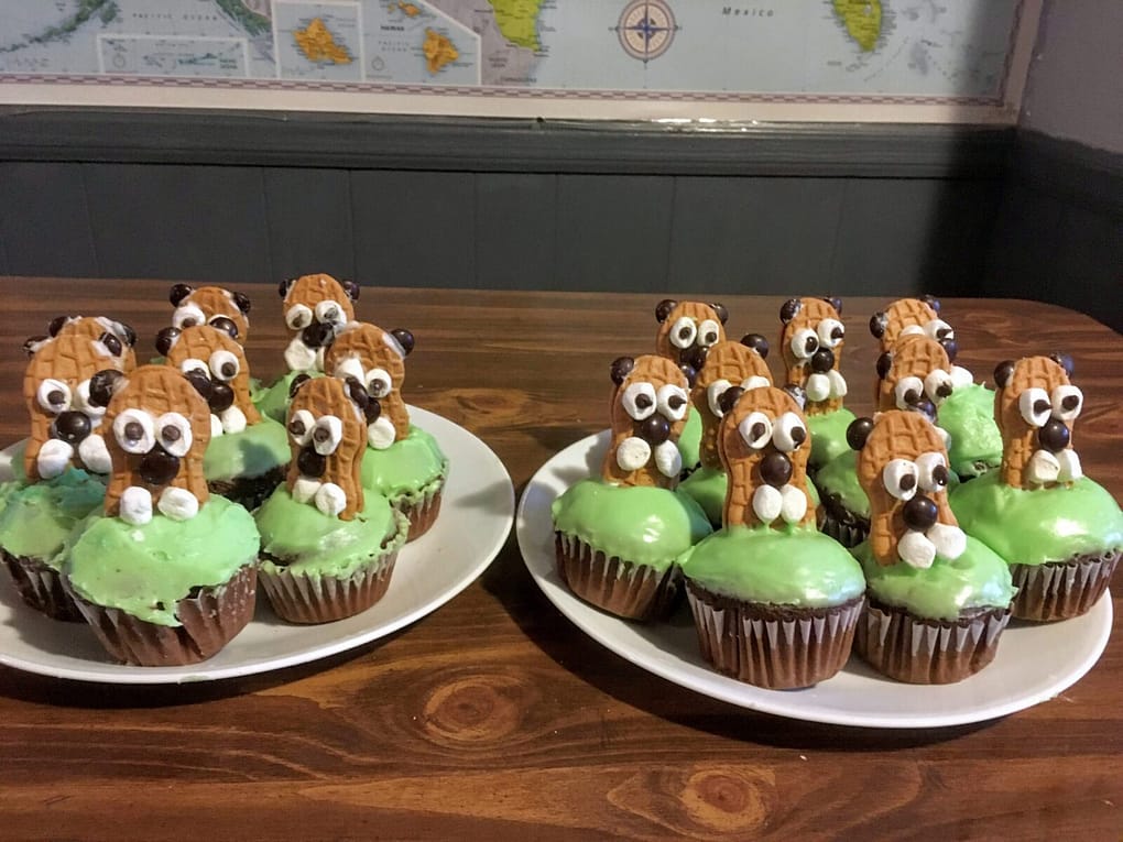 2 plates of groundhog cupcakes