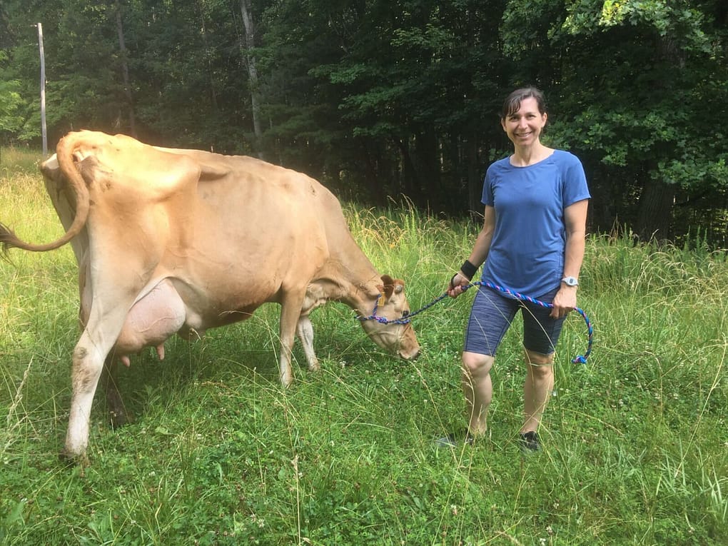 woman with her new dairy cow