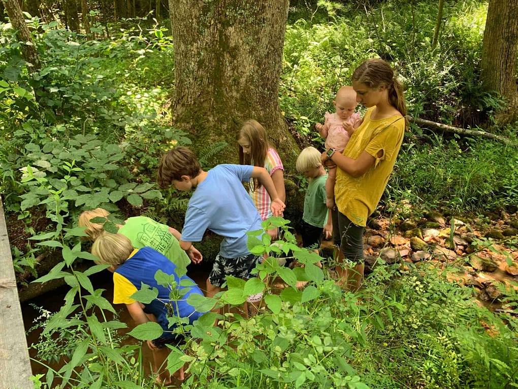 kids hiking in a creek