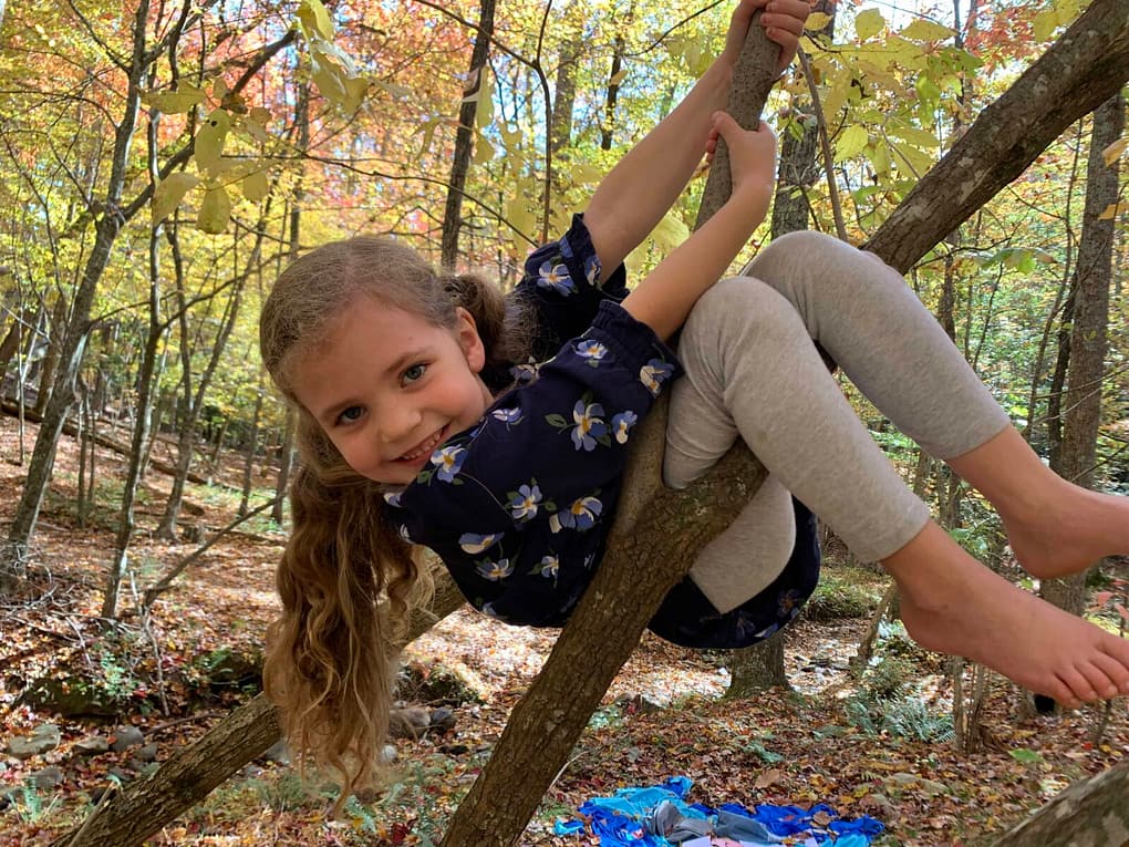 6 year old hanging from a tree and smiling