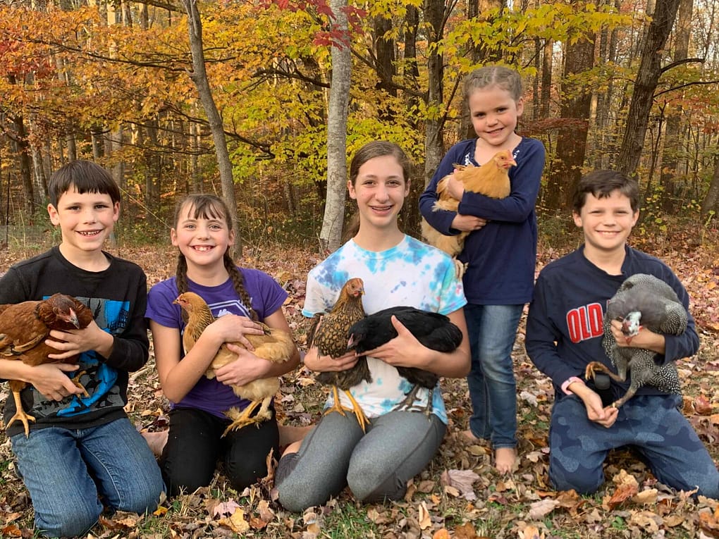 5 kids holding chickens in fall