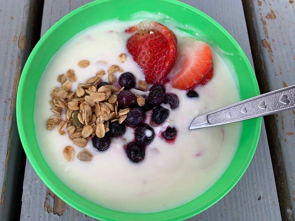 bowl of delicious homemade raw milk yogurt with berries and granola