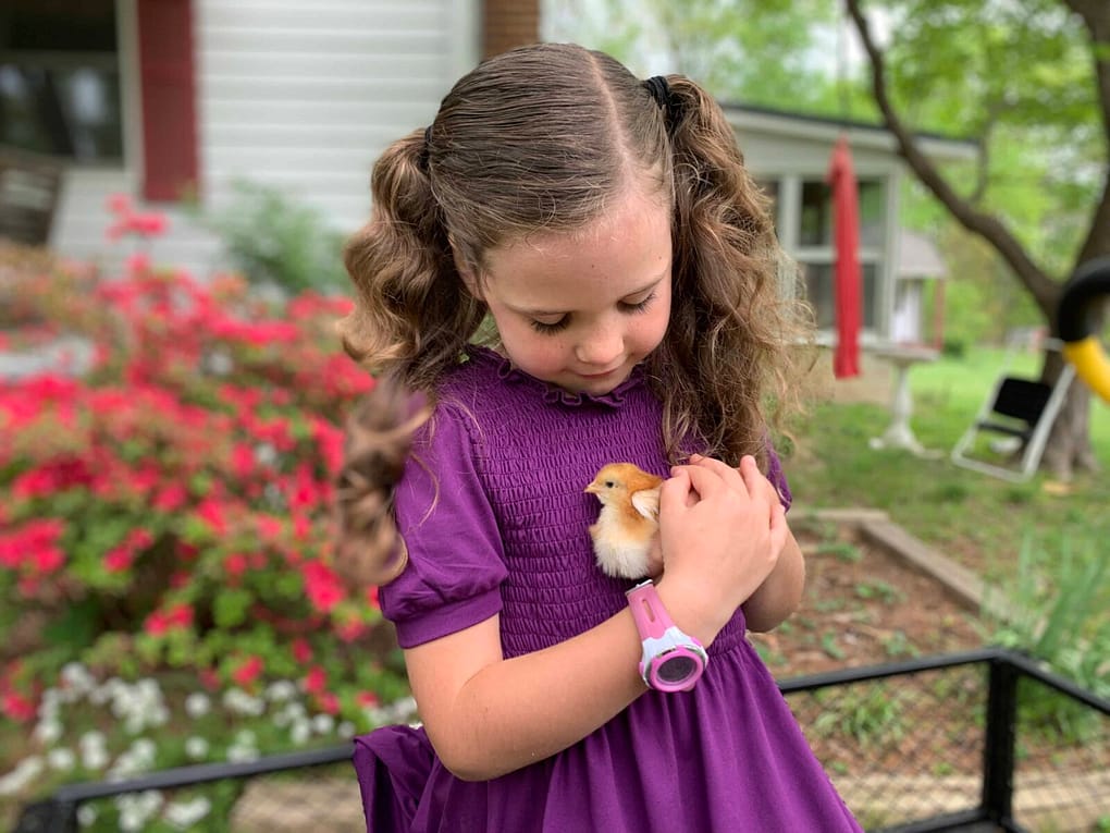 6 year old girl cuddling a chick outside in spring