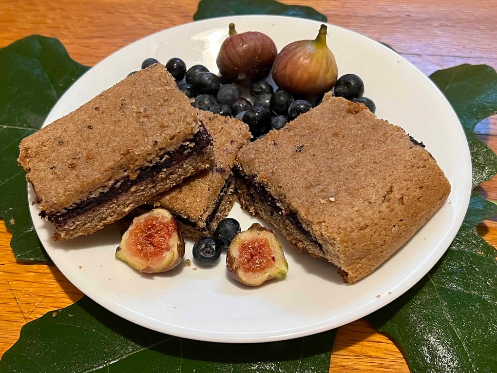 plate of fig and blueberry bars