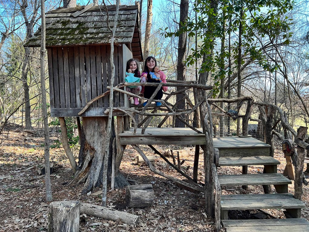 life side birdhouse/tree house