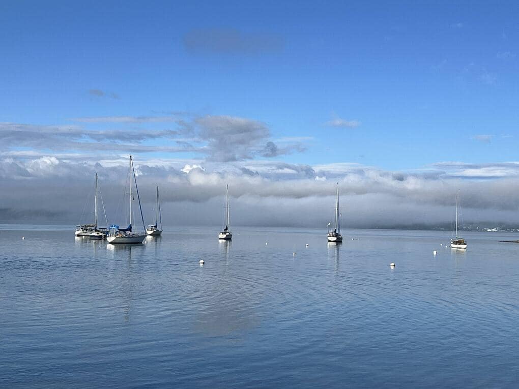 sailboats on Lake Champlain