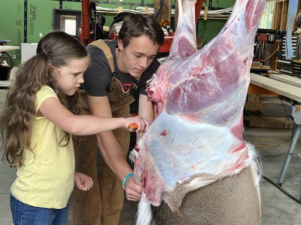 teen and girl skinning a deer