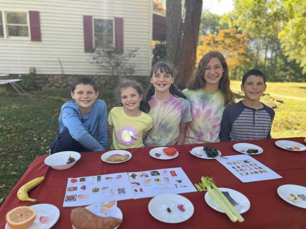 kids sitting at a table set up for doctrine of signatures
