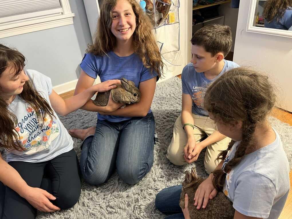 children holding a rabbit