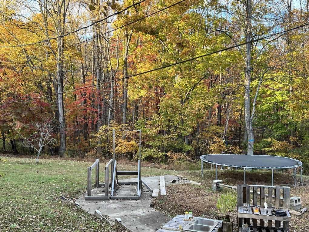 yard with trampoline in fall