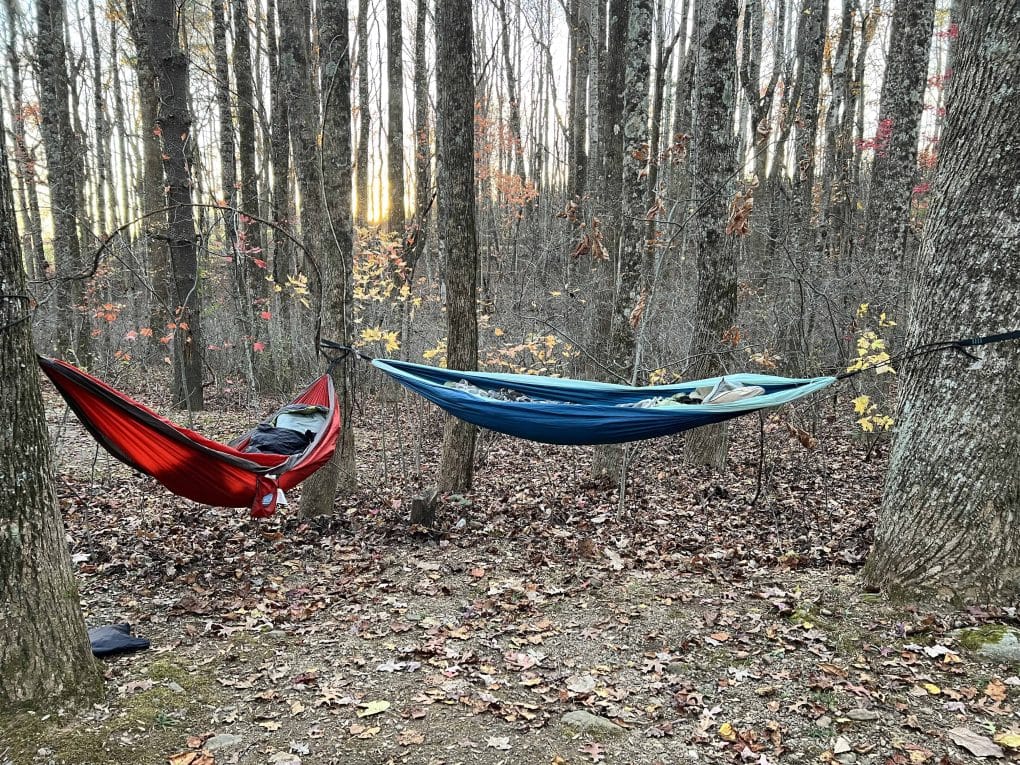 2 hammocks