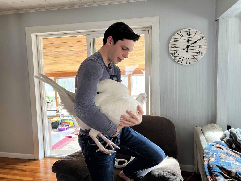 teen boy holding white turkey