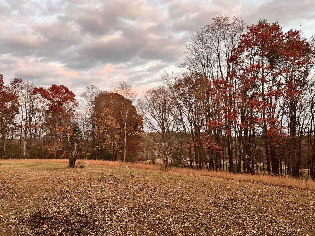 country property in autumn