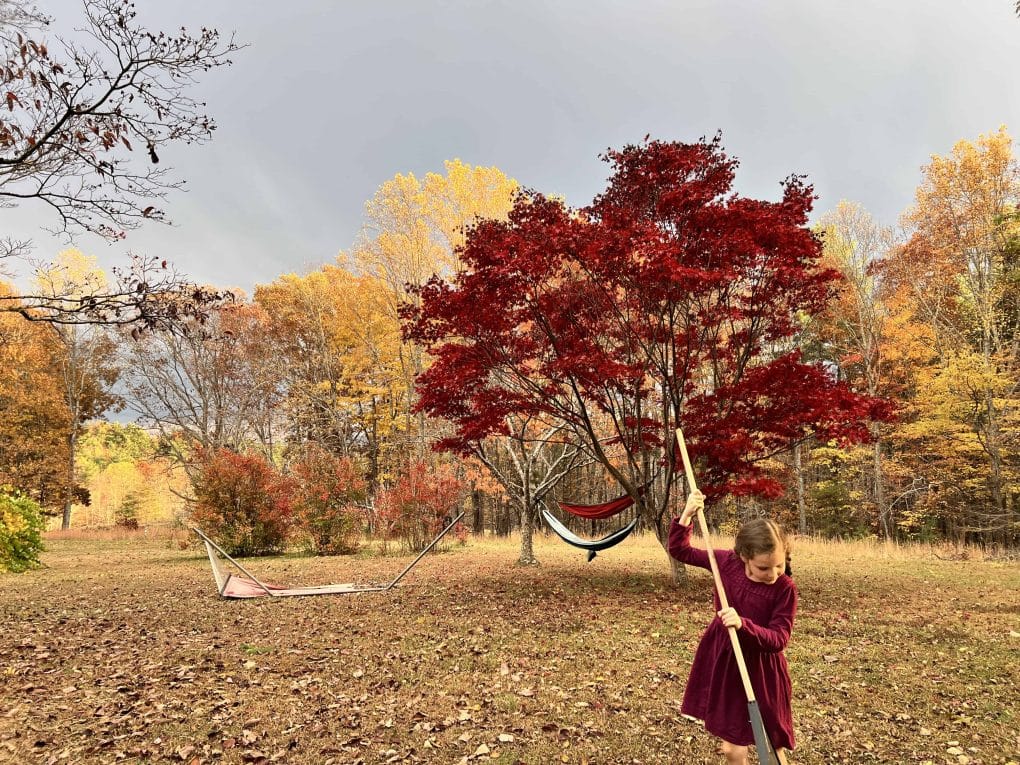 beautiful yard in fall