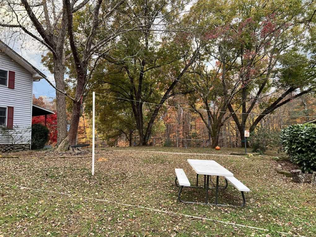 country yard in fall