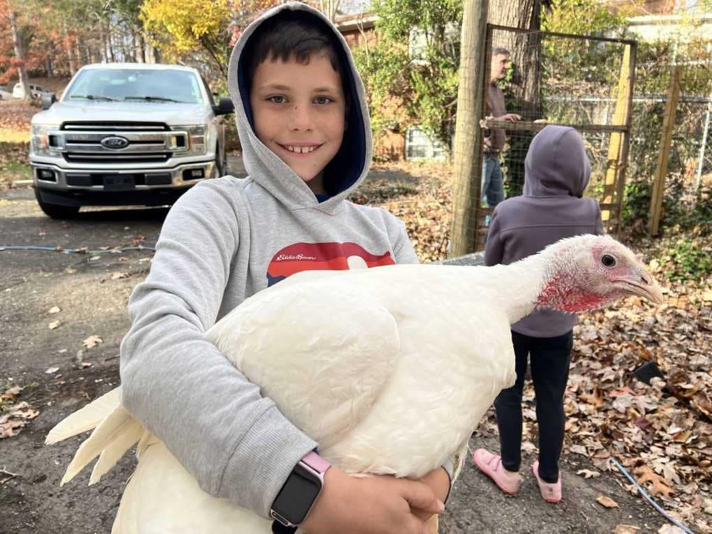 boy holding turkey
