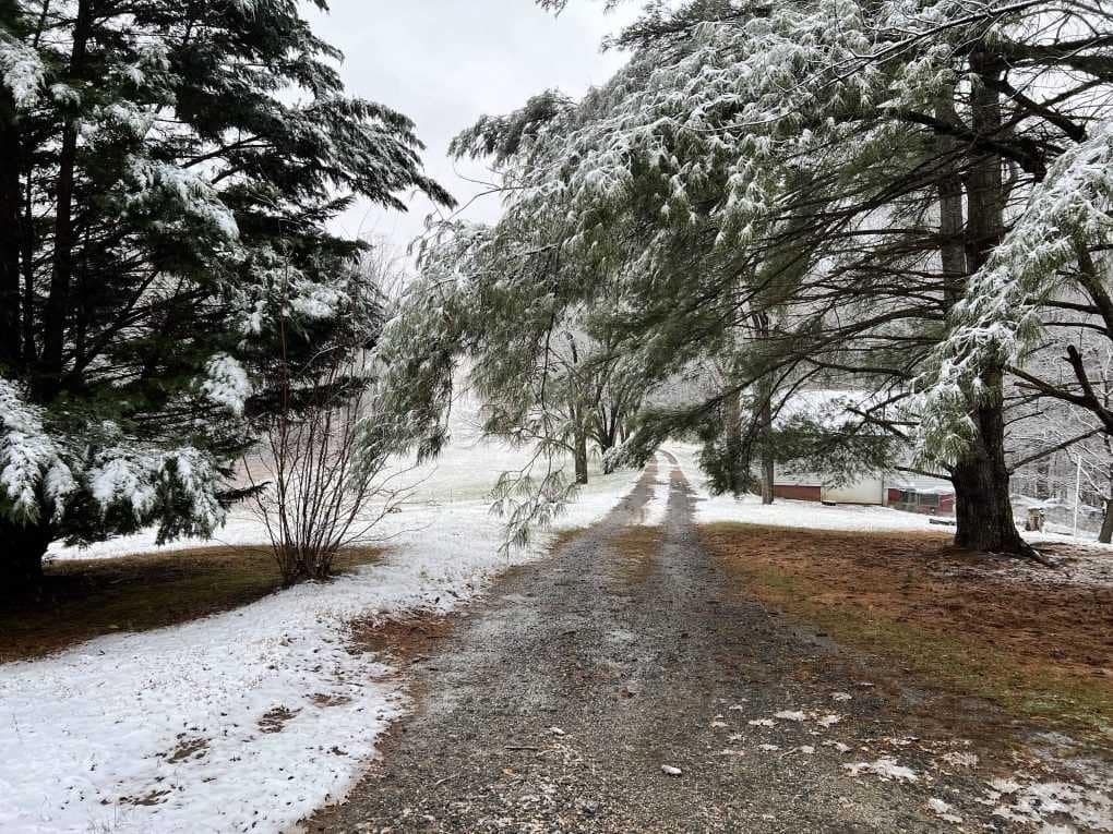 country driveway with snow
