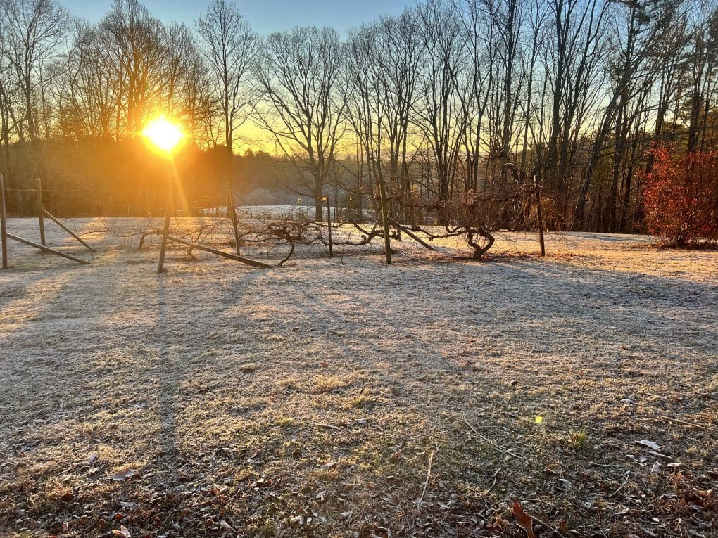 sunrise with frost on the ground