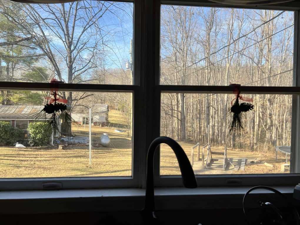 holly hanging in the window above the kitchen sink
