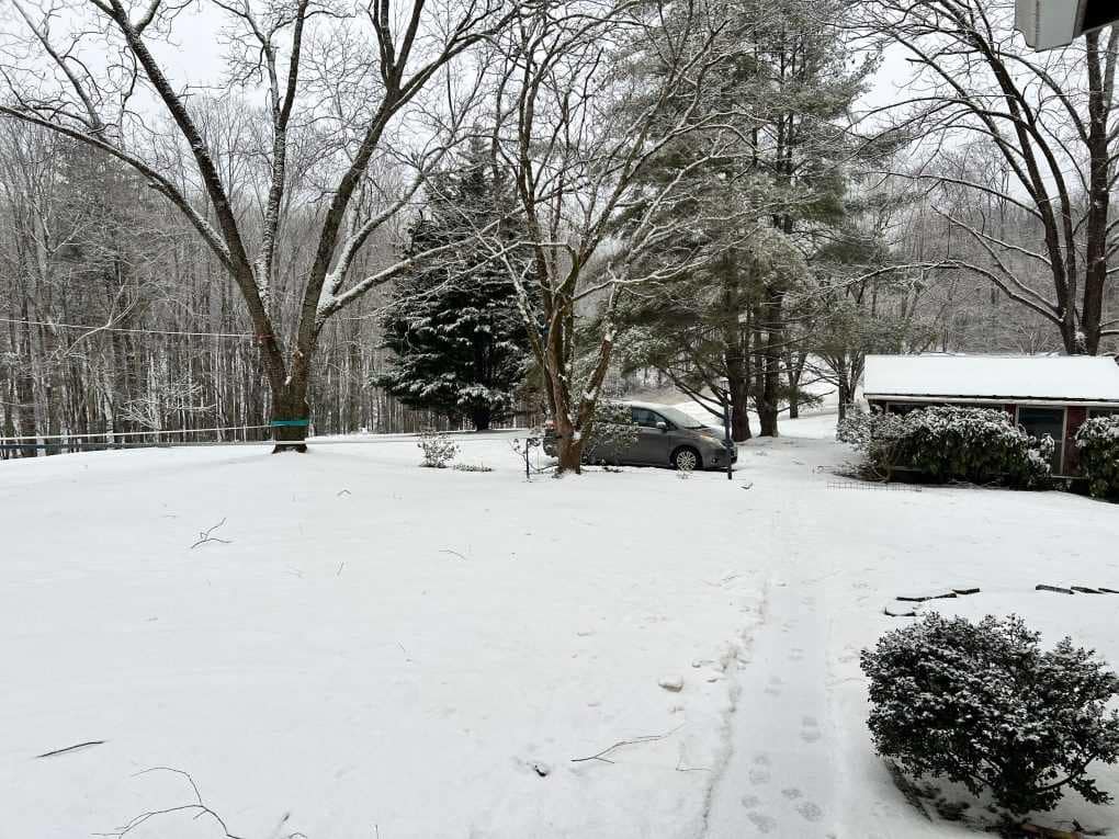 country yard with new snow