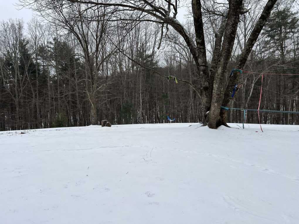 yard covered with snow and sleet