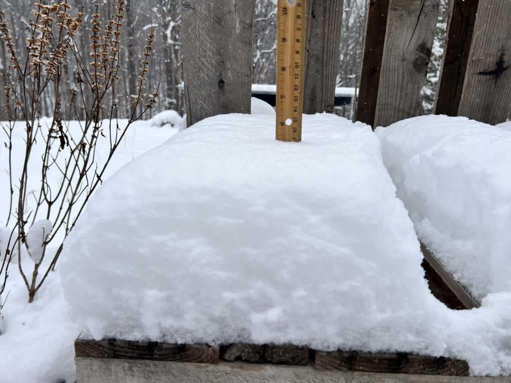 5" of snow