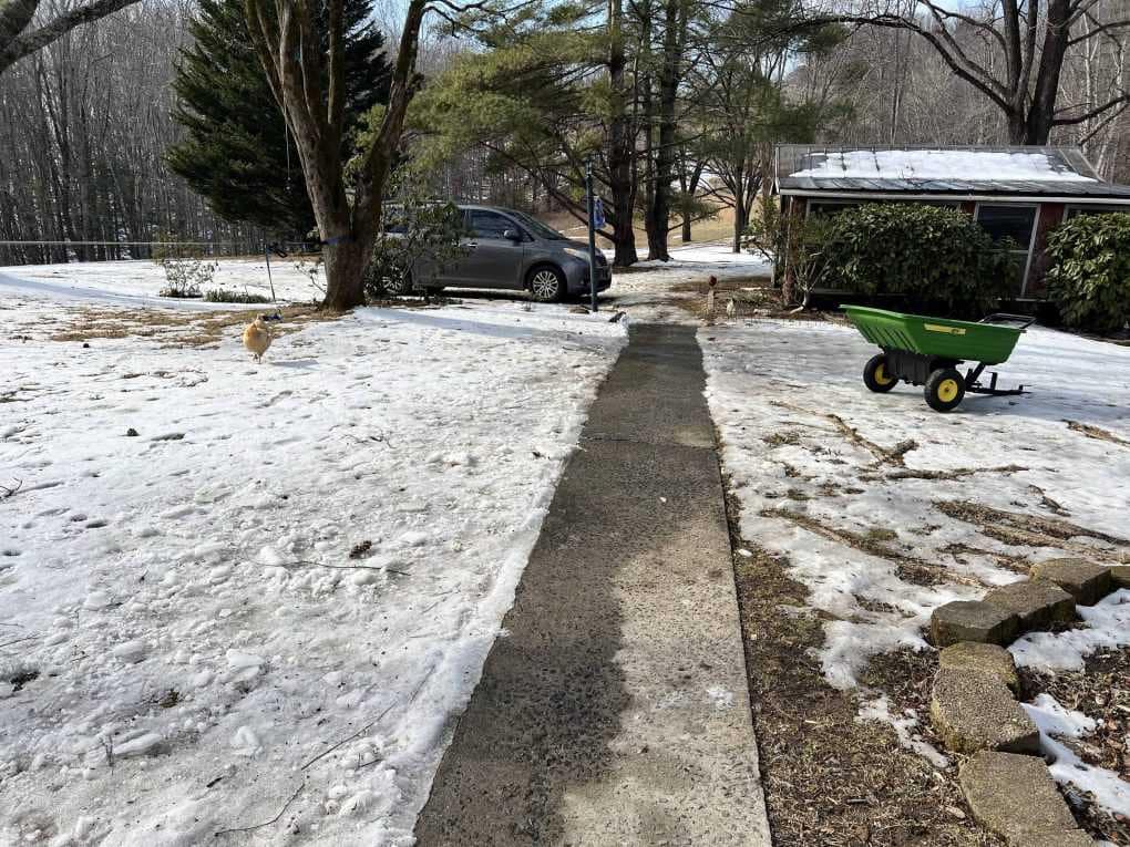 plowed sidewalk