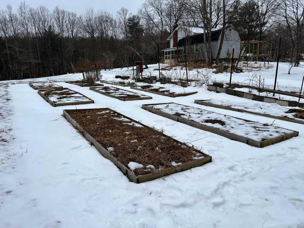 9 garden plots in the snow