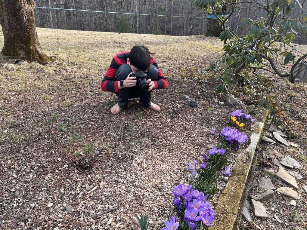 boy photographing crocuses