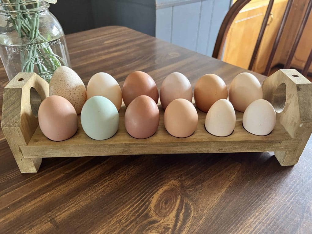 egg holder full of 12 eggs in various colors and sizes.