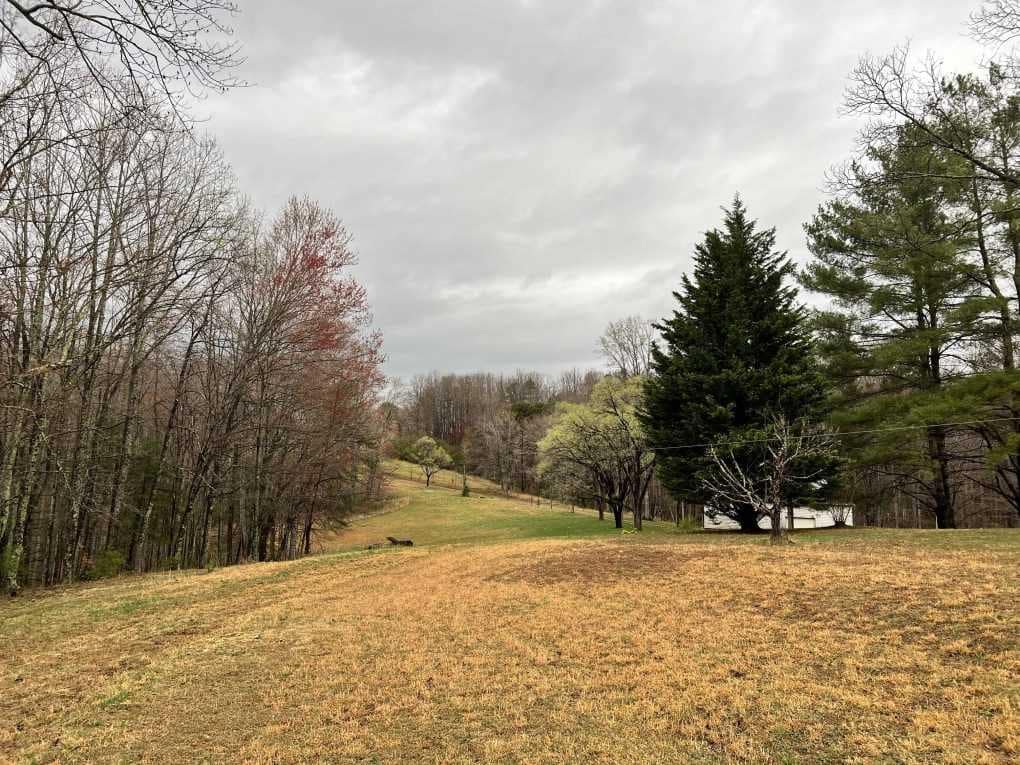 pasture and storm clouds