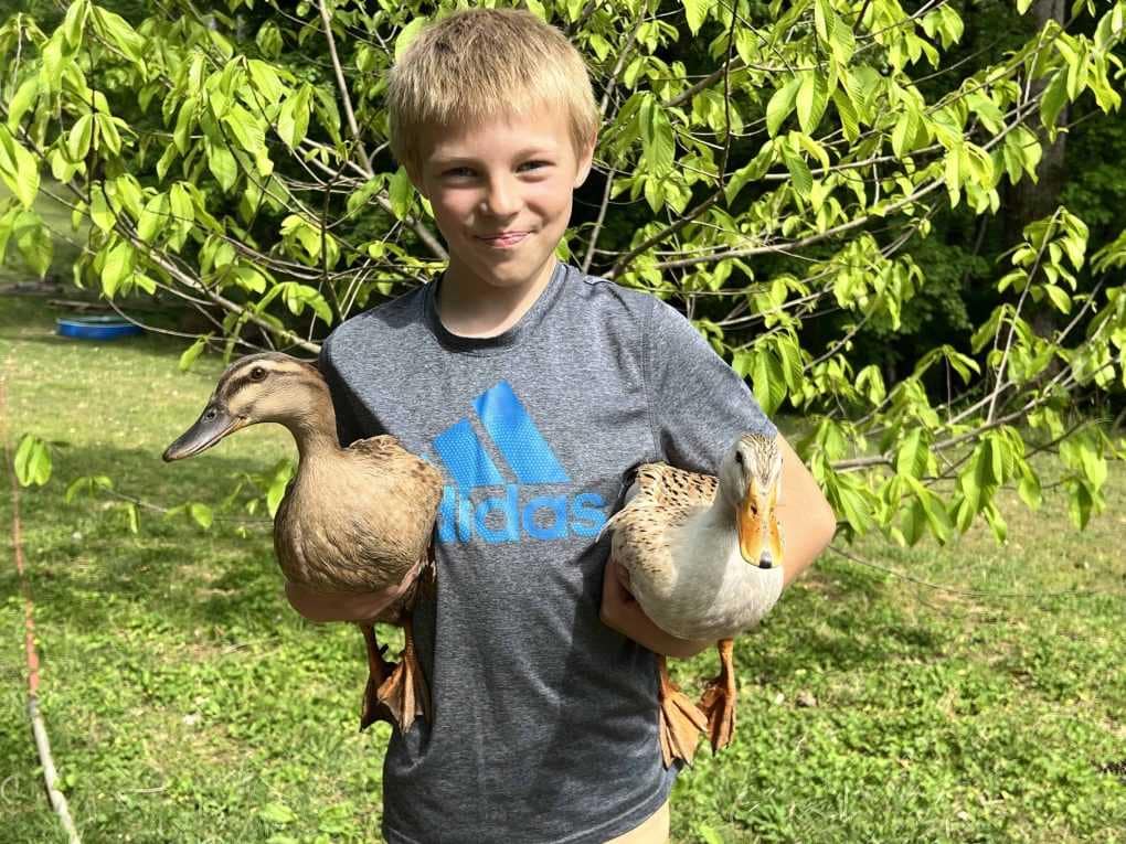 9 year old boy holding two ducks