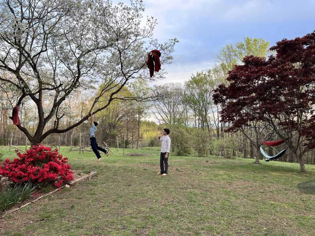 tablecloth stuck in a tree