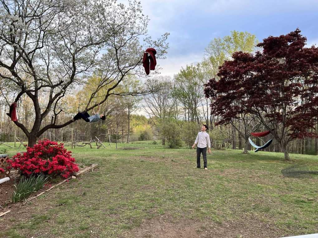 tablecloth stuck in a tree