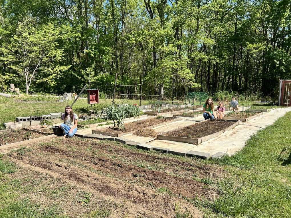 10 raised garden beds