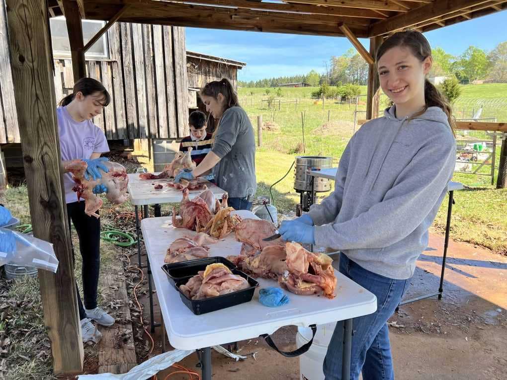 people processing chickens