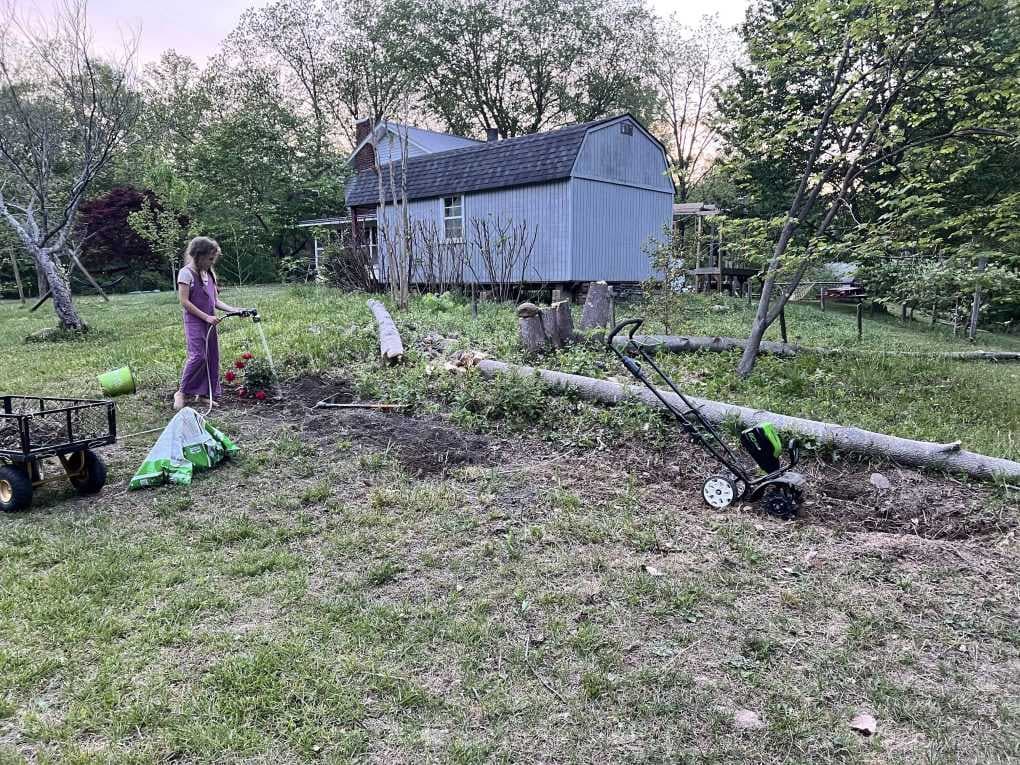 yard with shed in the background