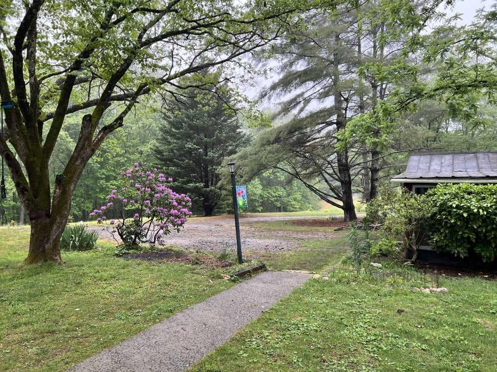 country yard in spring