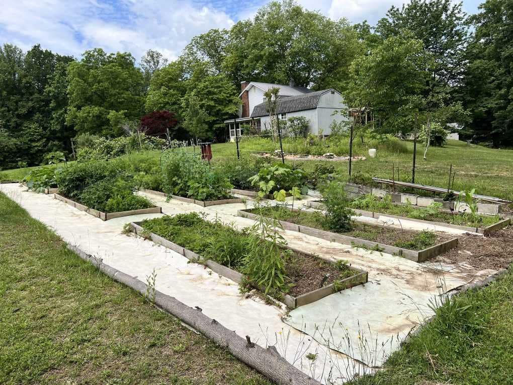raised garden beds