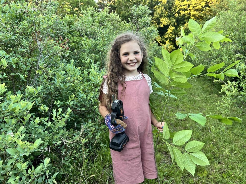 girl working in blueberry patch