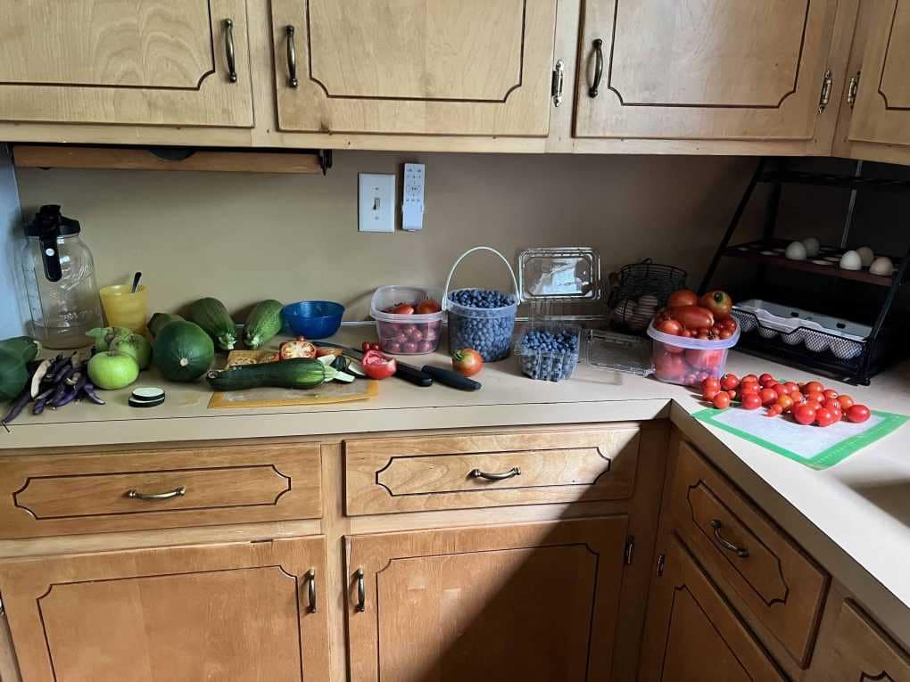 a counter with fruits and veggies from the garden on it