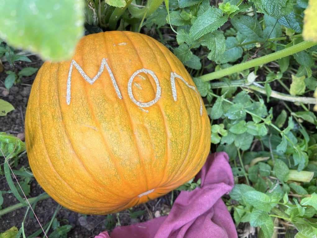 A pumpkin with MOM carved in it