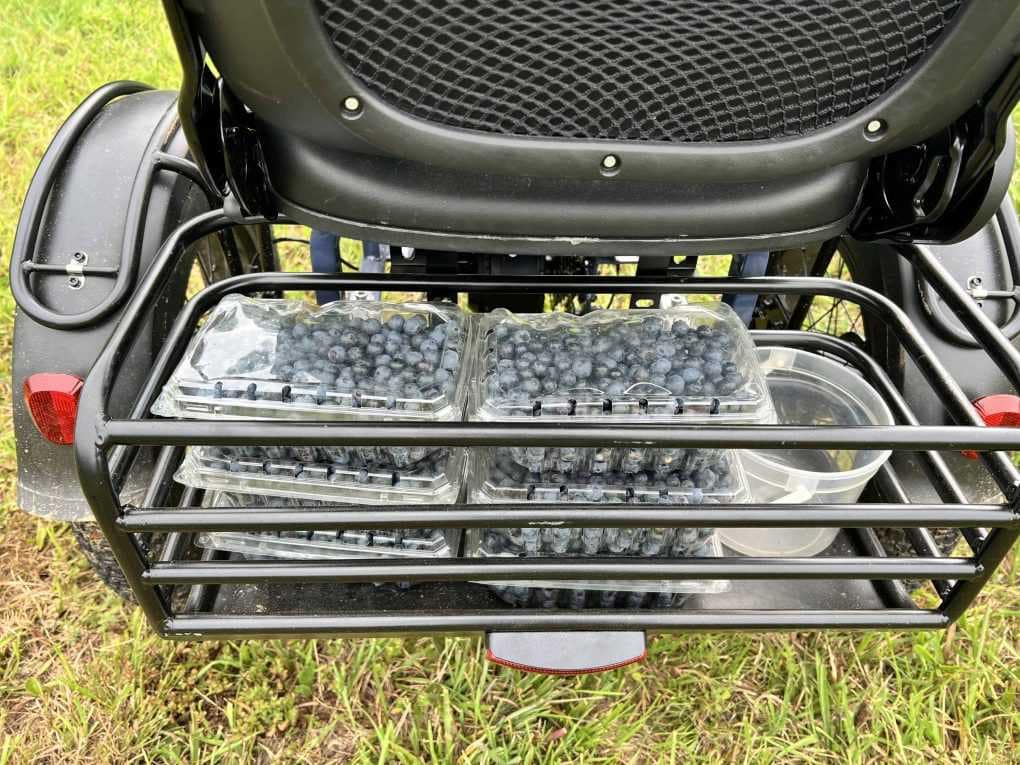 containers of blueberries in the back of an etrike