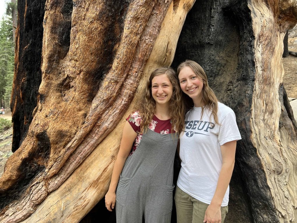 sisters at mariposa grove